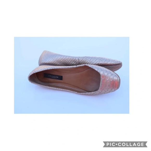Ann Taylor flats - Picture 4 of 7